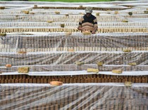Duh! Produksi Batu Bata di Deli Serdang Menurun