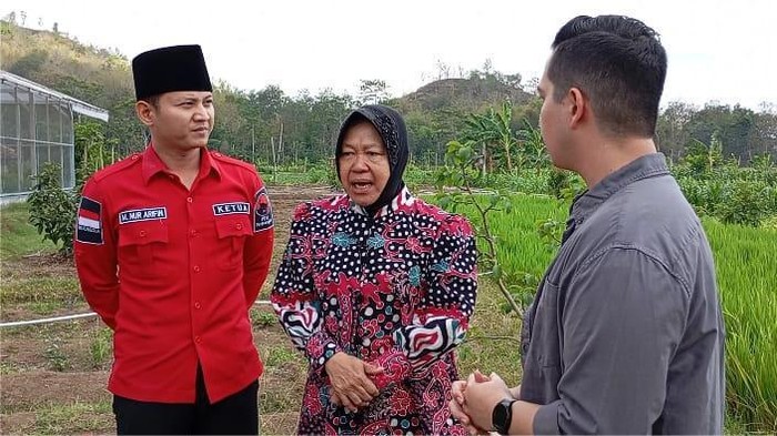 Risma dan Mas Ipin saat meninjau pertanian di Trenggalek.