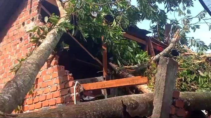 Rumah warga di Lubuklinggau hancur tertimpa pohon tumbang akibat hujan angin