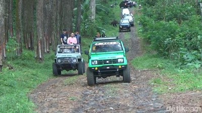 Offroad Menjelajahi Sungai dan Hutan di Kaki Gunung Semeru