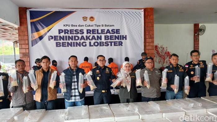 Bea Cukai Batam gagalkan penyelundupan benih bening lobster senilai Rp 26,9 miliar (Alamudin Hamapu/detikSumut)