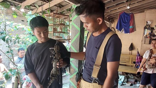 Buaya ditemukan warga di Sungai Desa Trasan, Kecamatan Juwiring, Klaten, Minggu (13/10/2024).