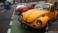 VW Beetle atau kodok juga memeriahkan acara tersebut.