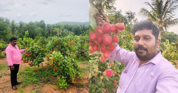 Kisah Sukses Petani Buah Tropis yang Pernah Tak Lulus Sekolah