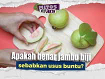 Mitos atau Fakta: Biji Jambu Klutuk Penyebab Usus Buntu
