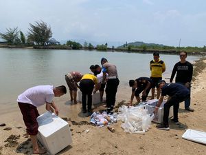 Polda Lampung Lepas 149.400 Benih Bening Lobster Hasil Penampungan Ilegal