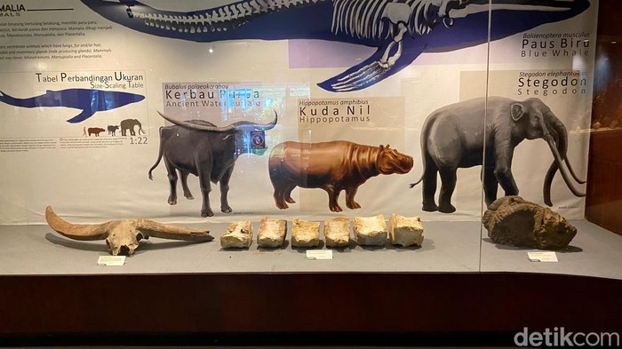 Museum Sri Baduga Bandung