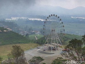 Sensasi Menikmati Hamparan Kebun Teh Malabar Naik Bianglala Raksasa