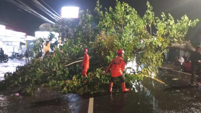 Pohon tumbang di CIamis