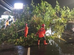 Pemotor yang Tertimpa Pohon di Ciamis Meninggal, Begini Kronologinya