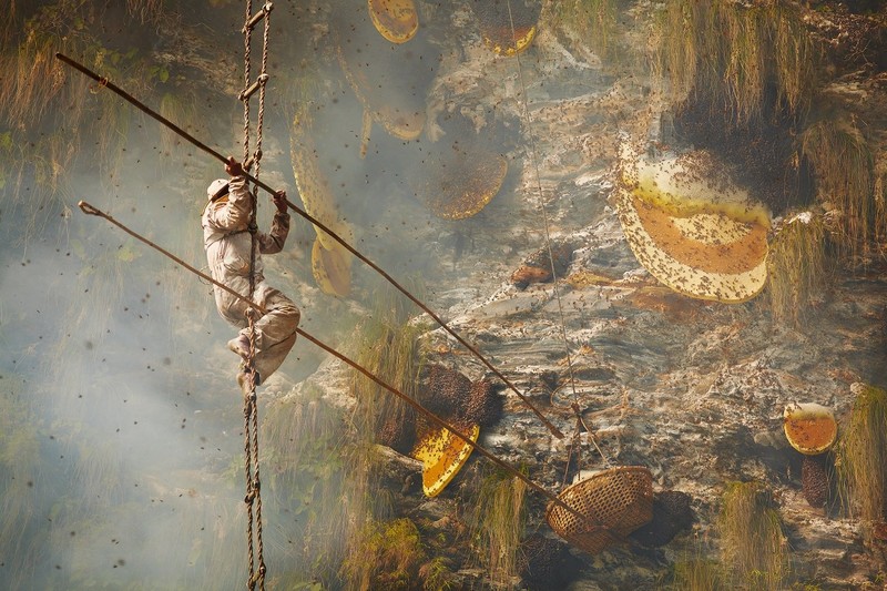 Siena International Photo Awards 2024