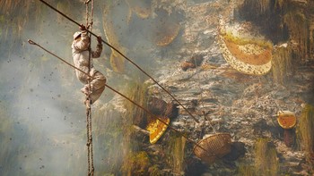 Honey Hunters 3 karya Andrew Newey menjuarai kategori Journeys and Adventures. Foto: Andrew Newey/Siena International Photo Awards 2024