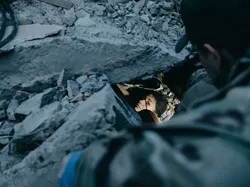 Jawara Kontes Foto Internasional yang Mengharukan dan Mengagumkan