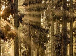 Jawara Kontes Foto Internasional yang Mengharukan dan Mengagumkan