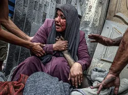 Jawara Kontes Foto Internasional yang Mengharukan dan Mengagumkan