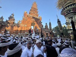 Dalam ritual ini sesuhunan (benda sakral) di dalam pura dikeluarkan dan kemudian memutari wantilan sebanyak 3 kali, dimaknai sebagai proses penyucian atau harmonisasi alam semesta. Prosesi ini menjadi incaran wisatawan yang hadir saat Ngerebong. (Foto: I Nyoman Adhisthaya Sawitra/detikBali)