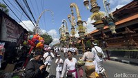 Ada sebanyak 32 penjor yang dibuat oleh pemuda banjar di wilayah Desa Adat Kesiman. (Foto: I Nyoman Adhisthaya Sawitra/detikBali)