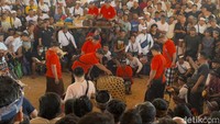 Suasana riuh masyarakat saat mengikuti ritual keagamaan ‘Tabuh Rah’ yang diadakan di wantilan pura saat Ngerebong. Memiliki makna persembahan dari darah hewan. (Foto: I Nyoman Adhisthaya Sawitra/detikBali)