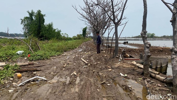 Akses jalan menuju Monumen Ketenangan Jiwa di Kelurahan Bandarharjo, Kecamatan Semarang Utara, Kota Semarang, Senin (14/10/2024).