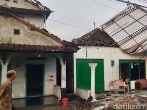 Cerita Warga Ngerinya Lisus Mengamuk di Klaten: Suara Seperti Kereta Lewat