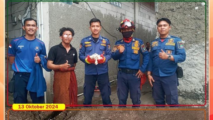 Damkar Kabupaten Tangerang mengevakuasi belasan telur kobra di rumah warga di Cikupa.