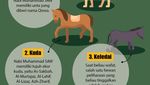 6 Hewan Peliharaan Kesayangan Nabi Muhammad SAW, Ada Kuda hingga Kucing