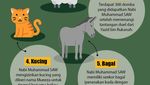 6 Hewan Peliharaan Kesayangan Nabi Muhammad SAW, Ada Kuda hingga Kucing