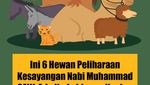 6 Hewan Peliharaan Kesayangan Nabi Muhammad SAW, Ada Kuda hingga Kucing
