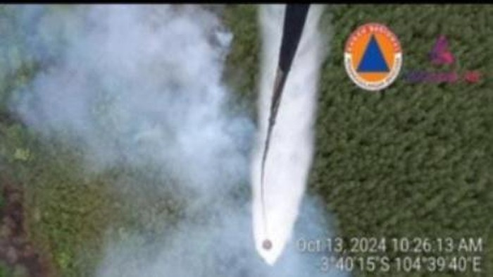 Kebakaran hutan dan lahan (Karhutla) di Sumatera Selatan (Sumsel) tak kunjung usai. Masih ada titik kebakaran meski hujan sudah turun di beberapa wilayah.