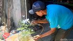 Sulap Galon Bekas Jadi Lampu Hias Cantik