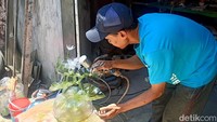 Dari sinilah dia malah keterusan membuatnya. Pasalnya, peminat lampu hias ini makin banyak.