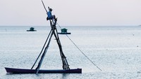 Nelayan memantau ikan-ikan masuk jaring perangkap. Nelayan memantau ikan-ikan masuk jaring perangkap.