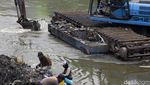 Normalisasi Sungai Ciliwung, Lumpur Dikeruk
