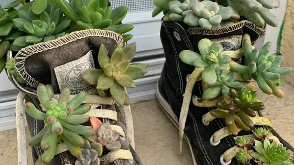 Foto: Inspirasi Sepatu Bekas Jadi Pot Tanaman Hias, Unik dan Cantik