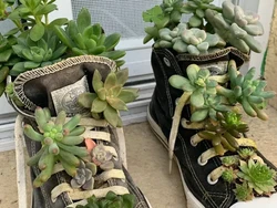 Foto: Inspirasi Sepatu Bekas Jadi Pot Tanaman Hias, Unik dan Cantik