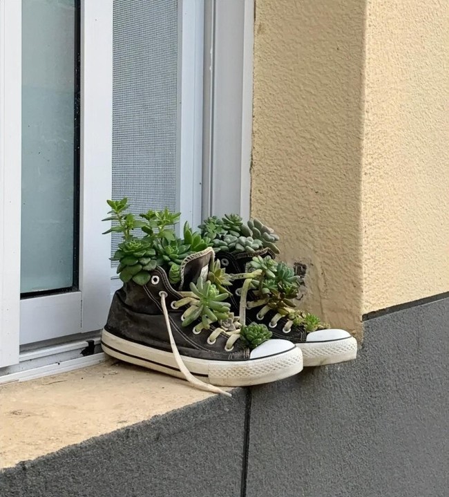 Alur di sol sepatu dirancangnya dengan cermat agar berubah menjadi sistem drainase. Sistem ini membantu tanaman menyerap air tanpa membuat akarnya membusuk. Foto: Dok. arttimes.vn