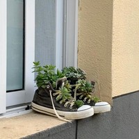 Alur di sol sepatu dirancangnya dengan cermat agar berubah menjadi sistem drainase. Sistem ini membantu tanaman menyerap air tanpa membuat akarnya membusuk. Foto: Dok. arttimes.vn