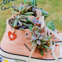 Seperti dikutip dari arttimes.vn, pria China ini menanam tanaman hias sukulen di sepatu lama yang sudah tidak terpakai. Setiap bagian sepatu dimanfaatkannya, termasuk lubang untuk tali sepatu menjadi tempat sukulen kecil. Foto: Dok. arttimes.vn