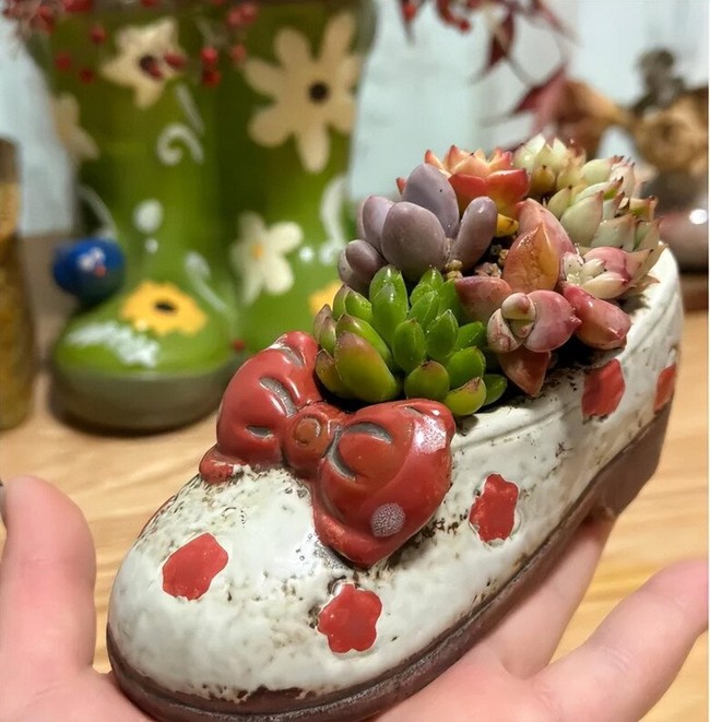 Tios menanam sukulen di pot dari sepatu bekas, tanah harus cukup gembur dan berongga. Pria tersebut menggunakan campuran tanah kebun, pasir, dan kerikil kecil dengan perbandingan 2:2:1 untuk menanam sukulen. Menurutnya, jenis tanah ini memiliki kapasitas menahan air tertentu dan cukup berongga, sehingga membantu tanaman tidak membusuk akarnya dan dapat bertahan hidup di musim panas dengan mudah. Foto: Dok. arttimes.vn