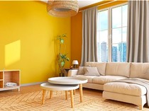 5 Warna Dinding Rumah yang Bikin Good Mood
