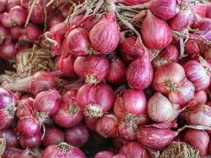Harga Sembako Jogja Hari Ini 12 Agustus 2025: Bawang Merah-Putih Kompak Drop!