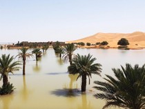 Banjir Langka di Gurun Sahara