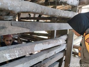 Nasib Pilu Ha dan Sam yang Harus Hidup di Kandang Kayu