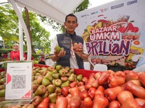 Petani Jambu Citra di Kudus Sukses Berkat KUR BRI