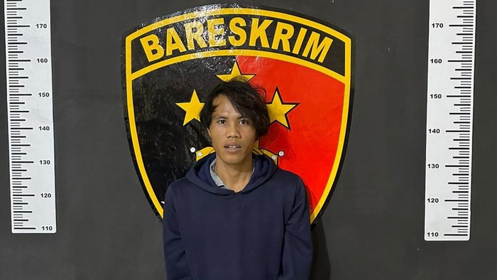 Karde ditangkap lantaran curi bibit sawit di Musi Rawas.