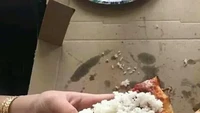 Berasal dari Italia, pizza biasanya disantap tanpa tambahan apapun. Namun saat di Indonesia, banyak yang menyantapnya dengan nasi putih. Foto: Site News