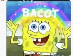 Asosiasi Sepak Bola Oman Bela Wasit Al Kaf, Meme Menohok Balasannya