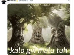 Asosiasi Sepak Bola Oman Bela Wasit Al Kaf, Meme Menohok Balasannya