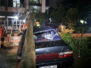 Bogor Sempat Diterjang Angin Kencang, Pohon 15 Meter Tumbang Timpa Mobil