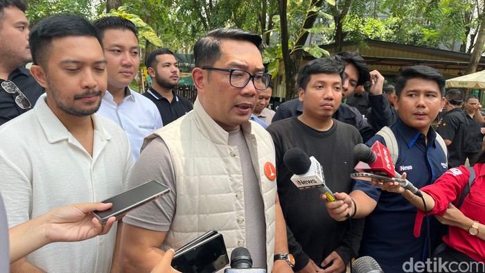 Ridwan Kamil (Rumondang Naibaho/detikcom)